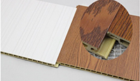 WPC wall panel(图1)