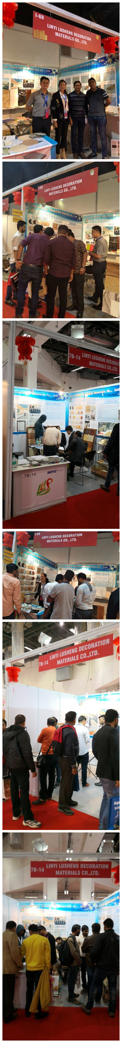 红标展会(图1)